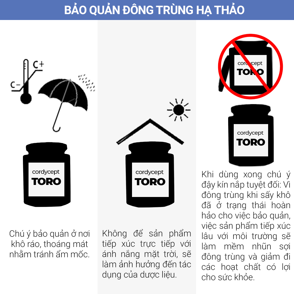 Bán Đông trùng hạ thảo Toro - Sấy thăng hoa nguyên sợi cải thiện chức năng sinh lý - Hũ 10g  chính hãng