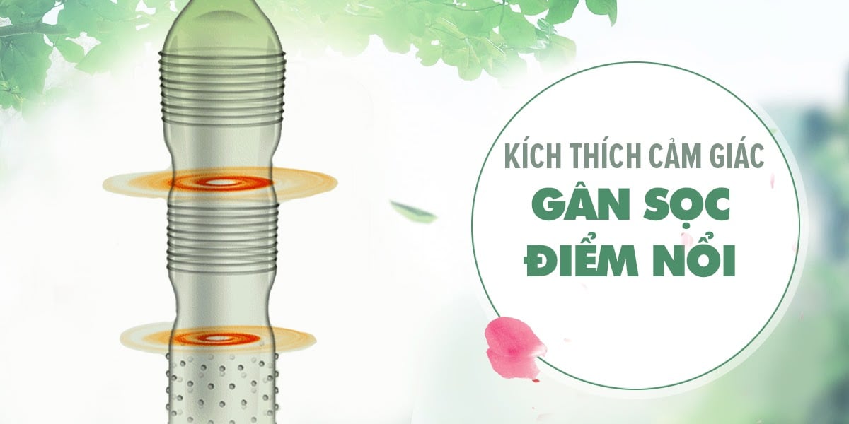 Bao cao su Quinn Pleasure Max gân điểm nổi tăng khoái cảm hộp 12