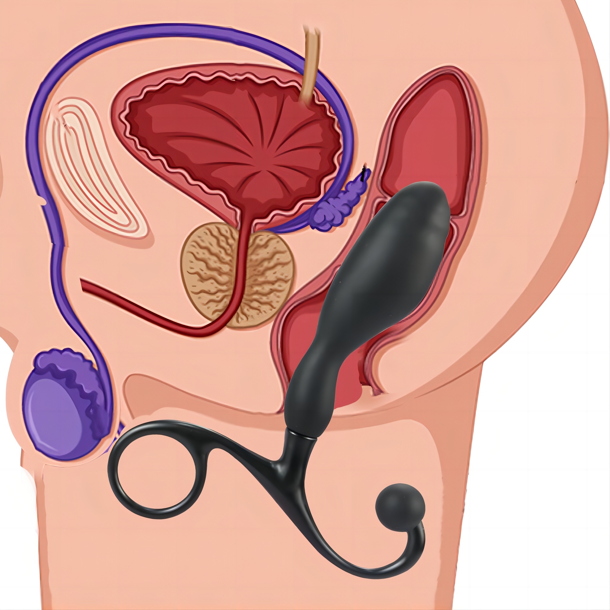 Phích cắm hậu môn ngón tay massage nhẹ nhàng kích thích ham muốn