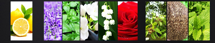  So sánh Nước hoa quyến rũ phụ nữ Blue de Diluoya giá rẻ