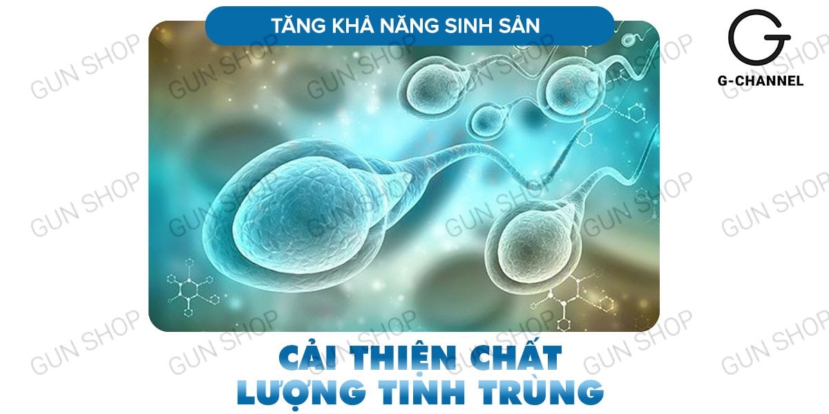 Maxman 10 viên chính hãng tăng cường sinh lý kéo dài thời gian quan hệ
