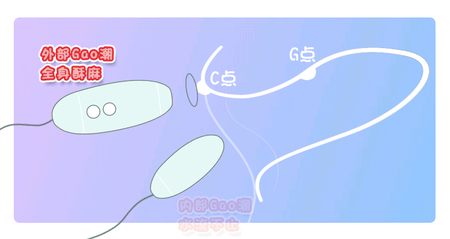 Trứng Nhảy 2 cục rung hút âm đạo Kis Toy Miss USA cao cấp