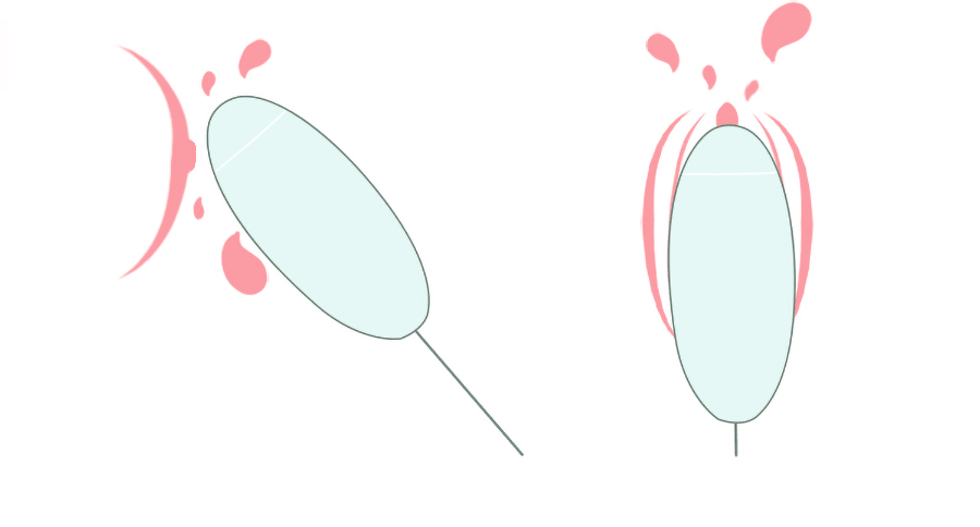 Trứng Nhảy 2 cục rung hút âm đạo Kis Toy Miss USA cao cấp