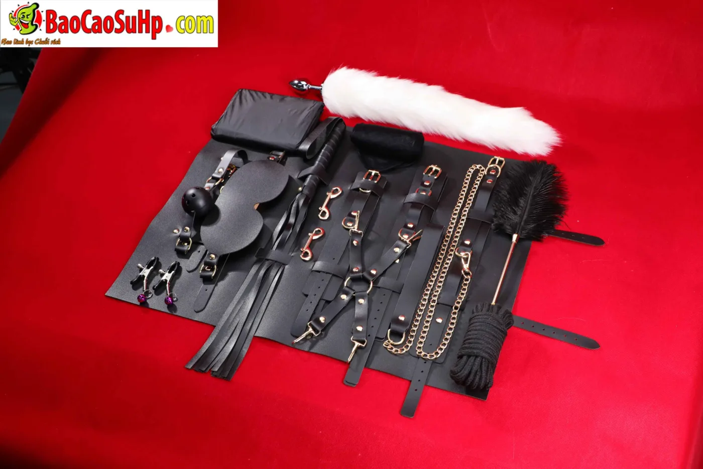 Giới Thiệu Bộ BDSM Mizzzee Asher 15 Món: Tuyệt Tác Khai Phá — hình 31
