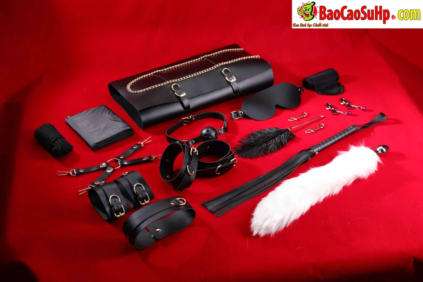Giới Thiệu Bộ BDSM Mizzzee Asher 15 Món: Tuyệt Tác Khai Phá — hình 36