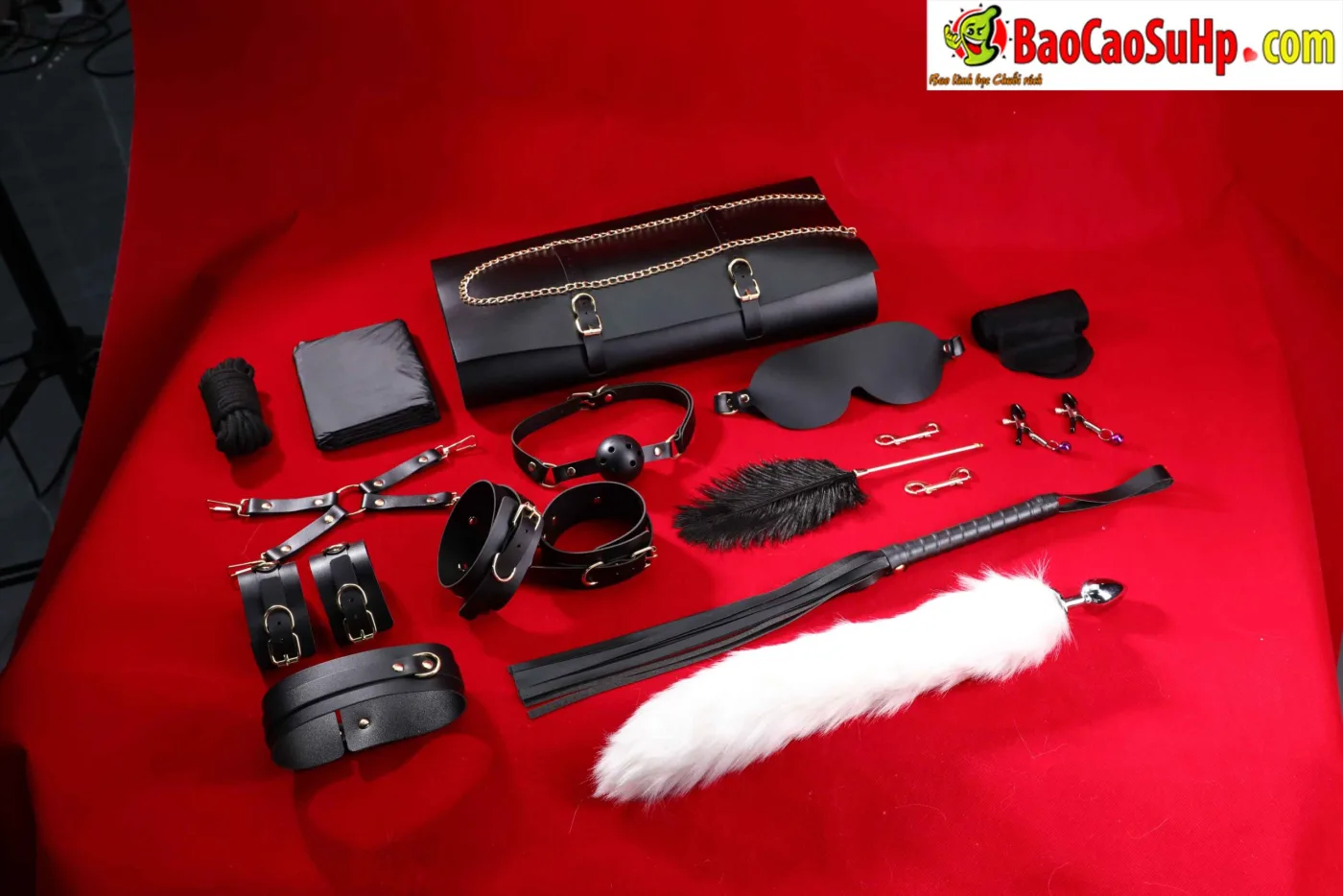 Giới Thiệu Bộ BDSM Mizzzee Asher 15 Món: Tuyệt Tác Khai Phá — hình 37
