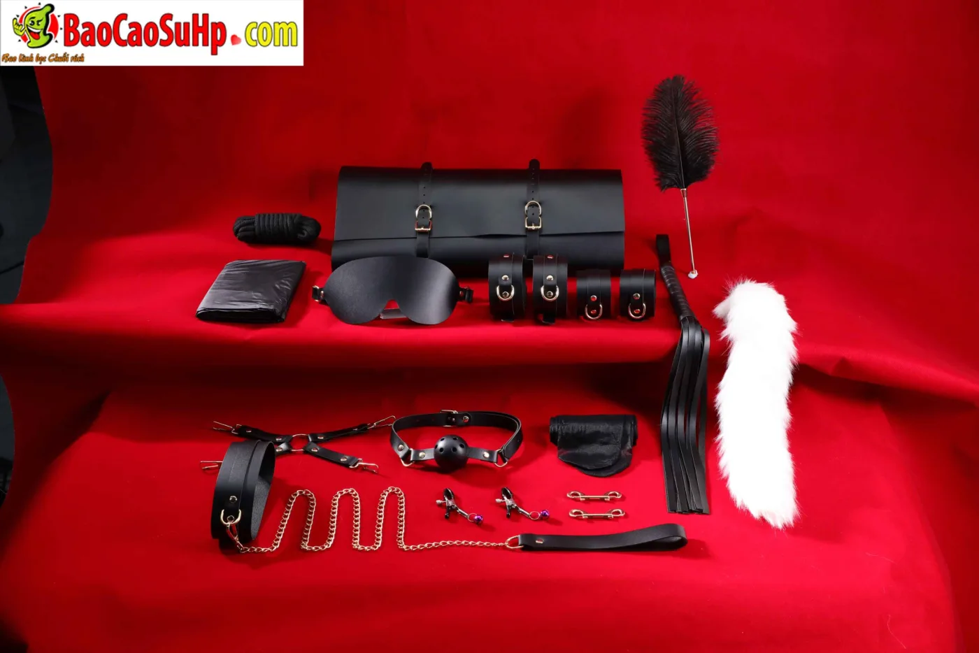 Giới Thiệu Bộ BDSM Mizzzee Asher 15 Món: Tuyệt Tác Khai Phá — hình 38