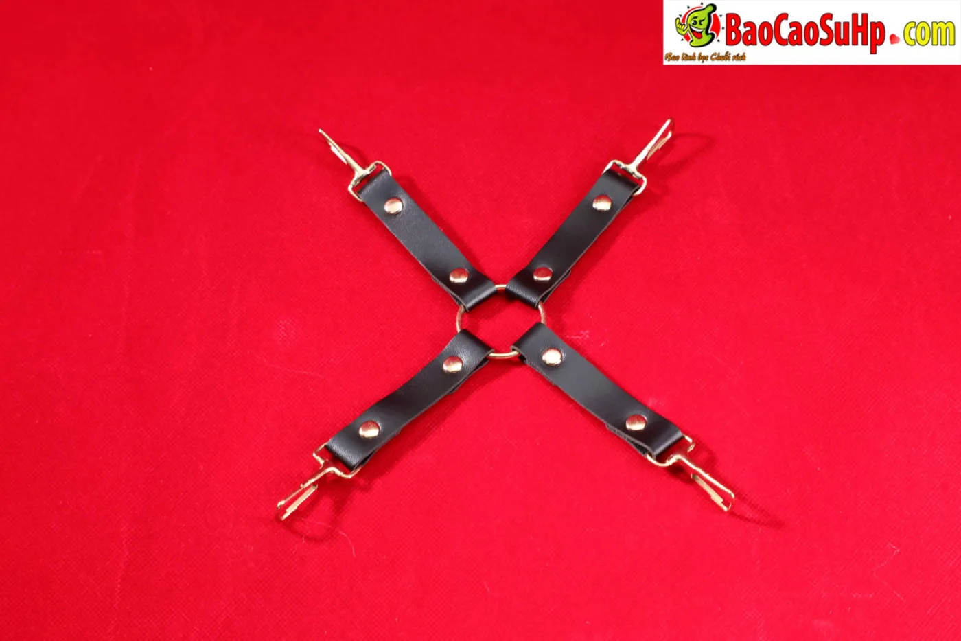 Giới Thiệu Bộ BDSM Mizzzee Asher 15 Món: Tuyệt Tác Khai Phá — hình 44