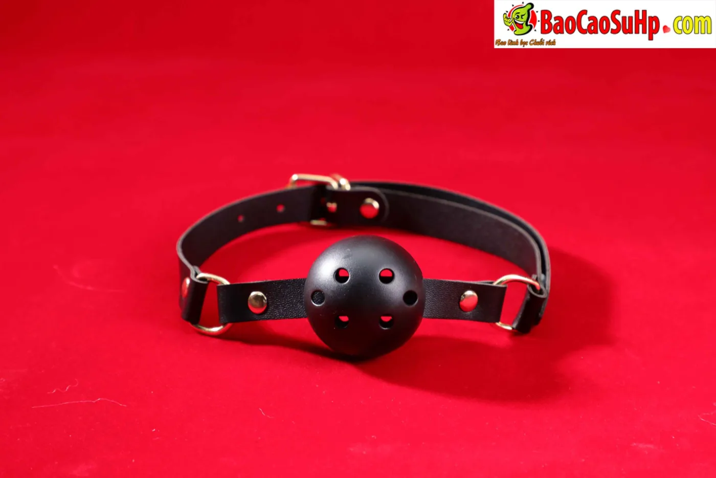 Giới Thiệu Bộ BDSM Mizzzee Asher 15 Món: Tuyệt Tác Khai Phá — hình 45