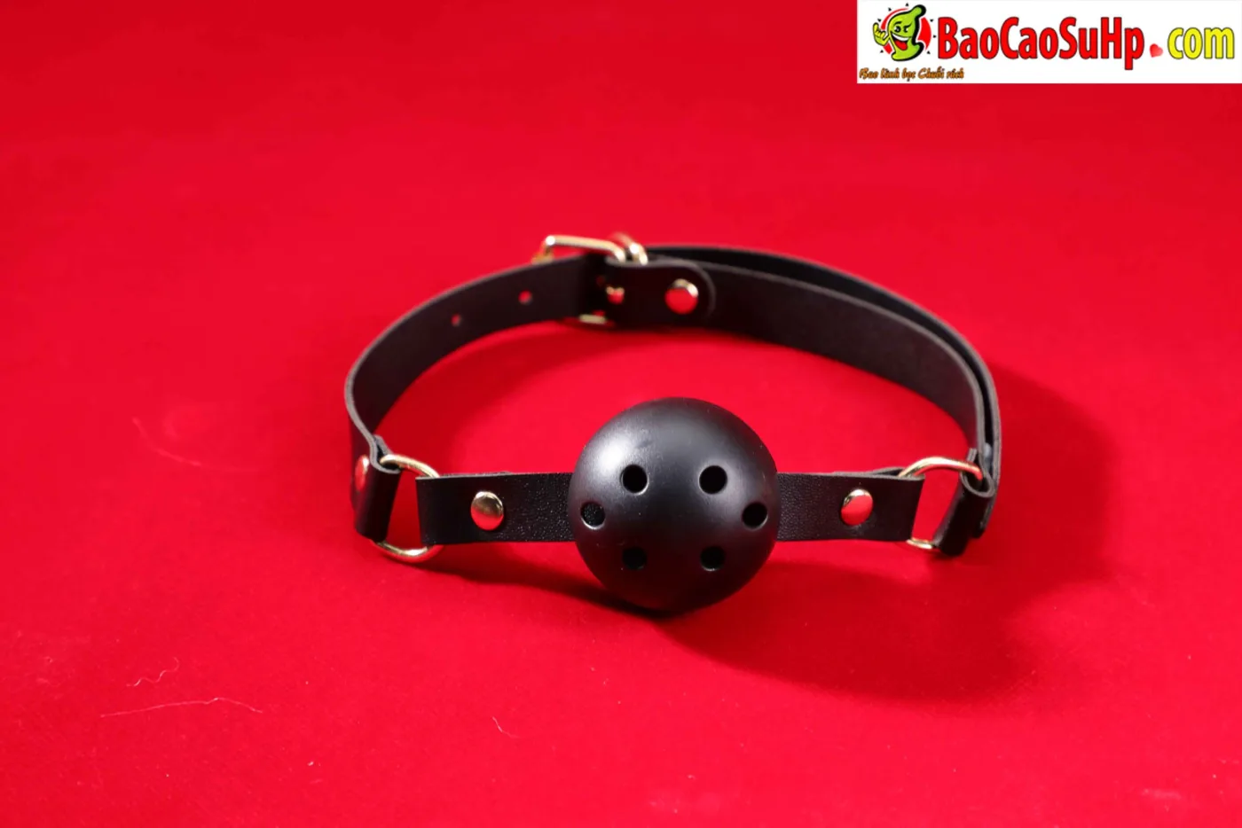 Giới Thiệu Bộ BDSM Mizzzee Asher 15 Món: Tuyệt Tác Khai Phá — hình 46