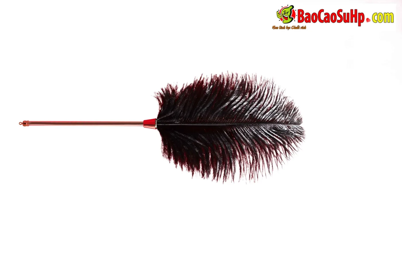 Giới Thiệu Bộ BDSM Mizzzee Asher 15 Món: Tuyệt Tác Khai Phá — hình 53