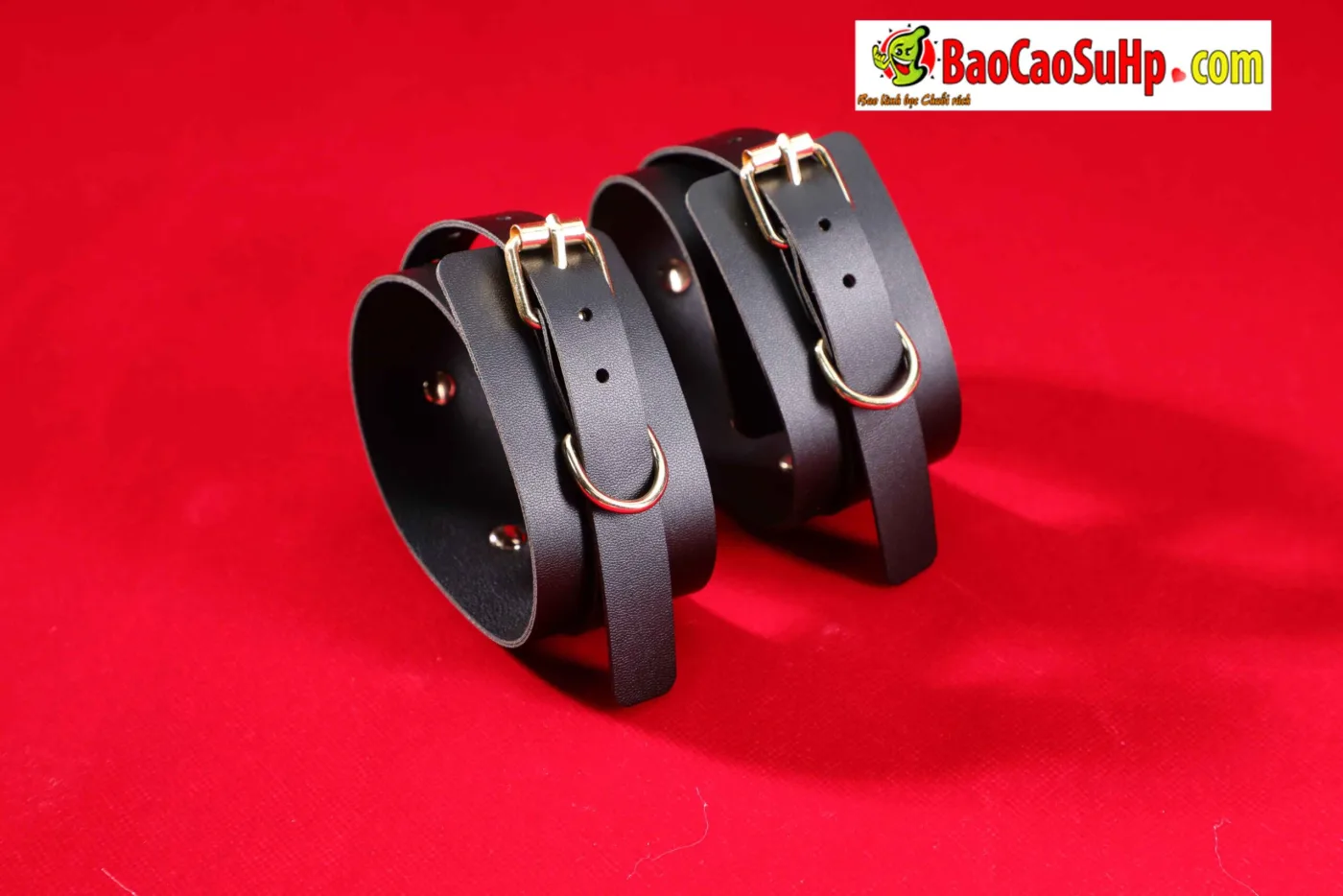 Giới Thiệu Bộ BDSM Mizzzee Asher 15 Món: Tuyệt Tác Khai Phá — hình 57