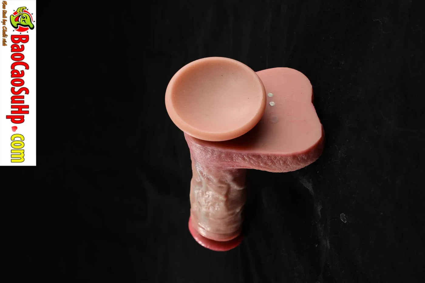 Dương vật giả đóng đất full silicone rung thụt phát nhiệt Mizzzee Benjamin 834A9858
