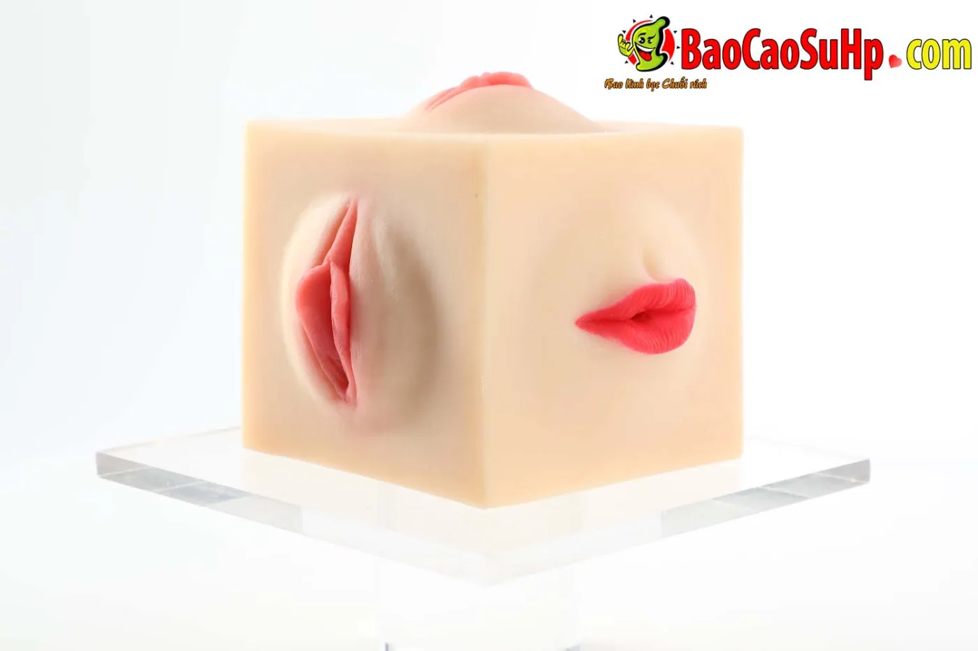 Âm Đạo Giả Đa Năng COC Chimira: Chiếc Hộp Pandora Với 5 Lối — hình 6