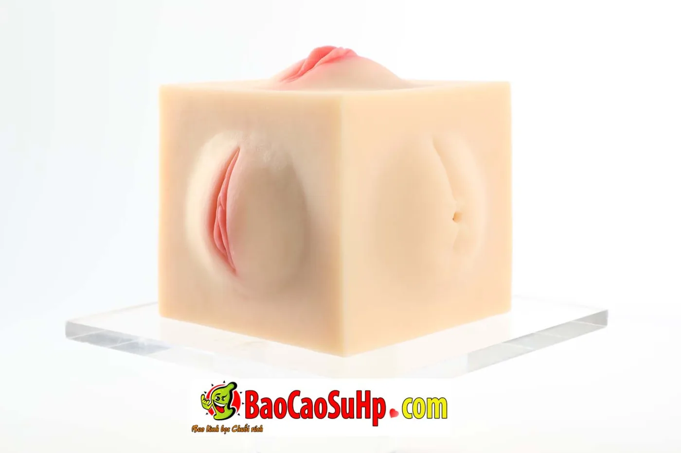 Âm Đạo Giả Đa Năng COC Chimira: Chiếc Hộp Pandora Với 5 Lối — hình 8