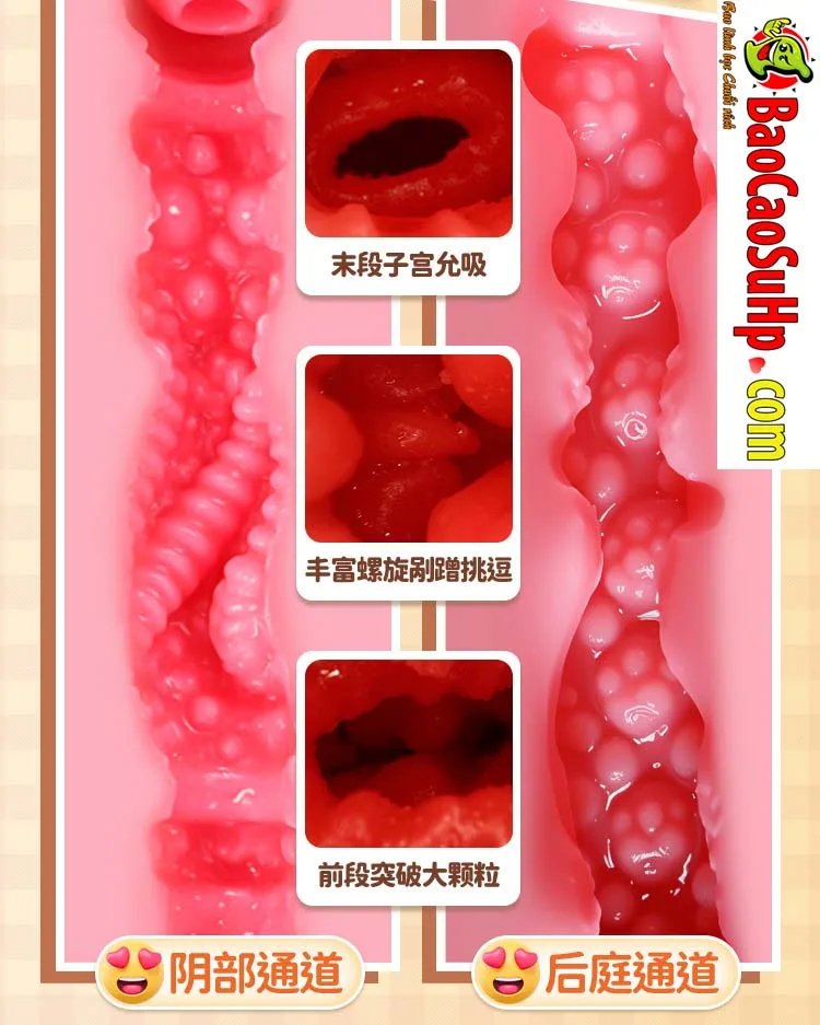 Âm đạo giả mô phỏng tử cung Jiuai Ver 5 Uterine Mold 2kg — hình 15