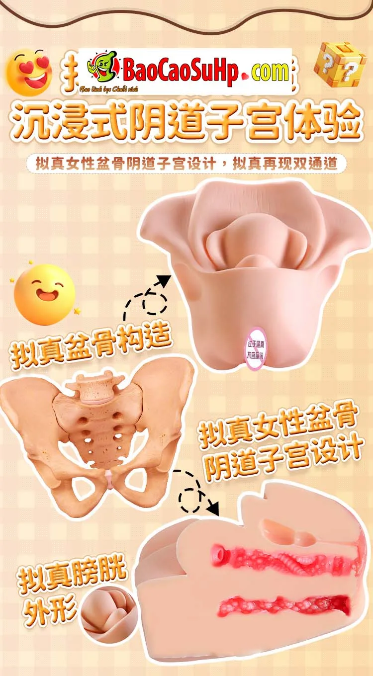 Âm đạo giả mô phỏng tử cung Jiuai Ver 5 Uterine Mold 2kg — hình 18