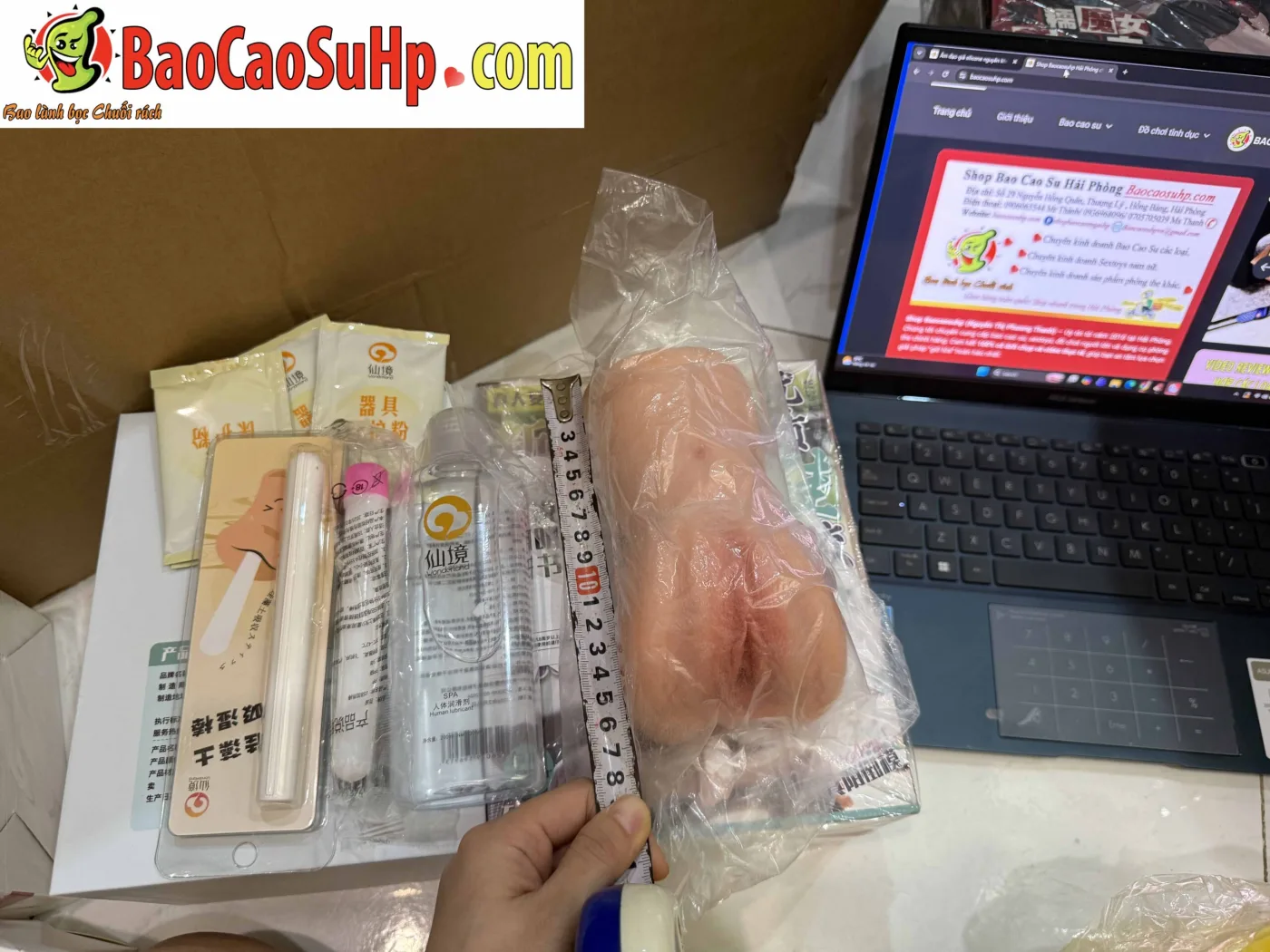 am dao gia Wonderland Hashimoto the he 6 2 scaled