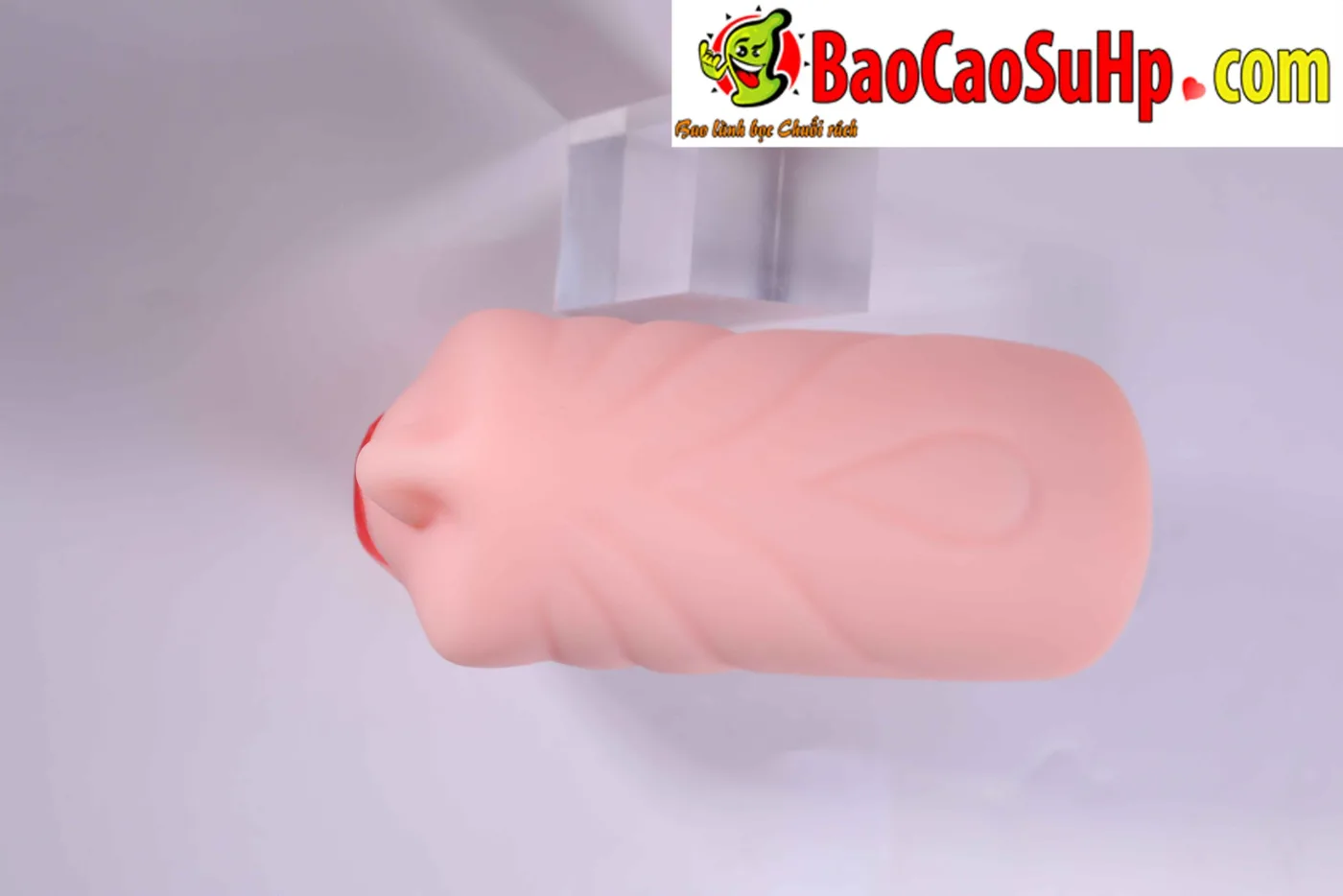 Miệng giả nguyên khối Hashimoto Arina liếm rung 800g TPE — hình 54