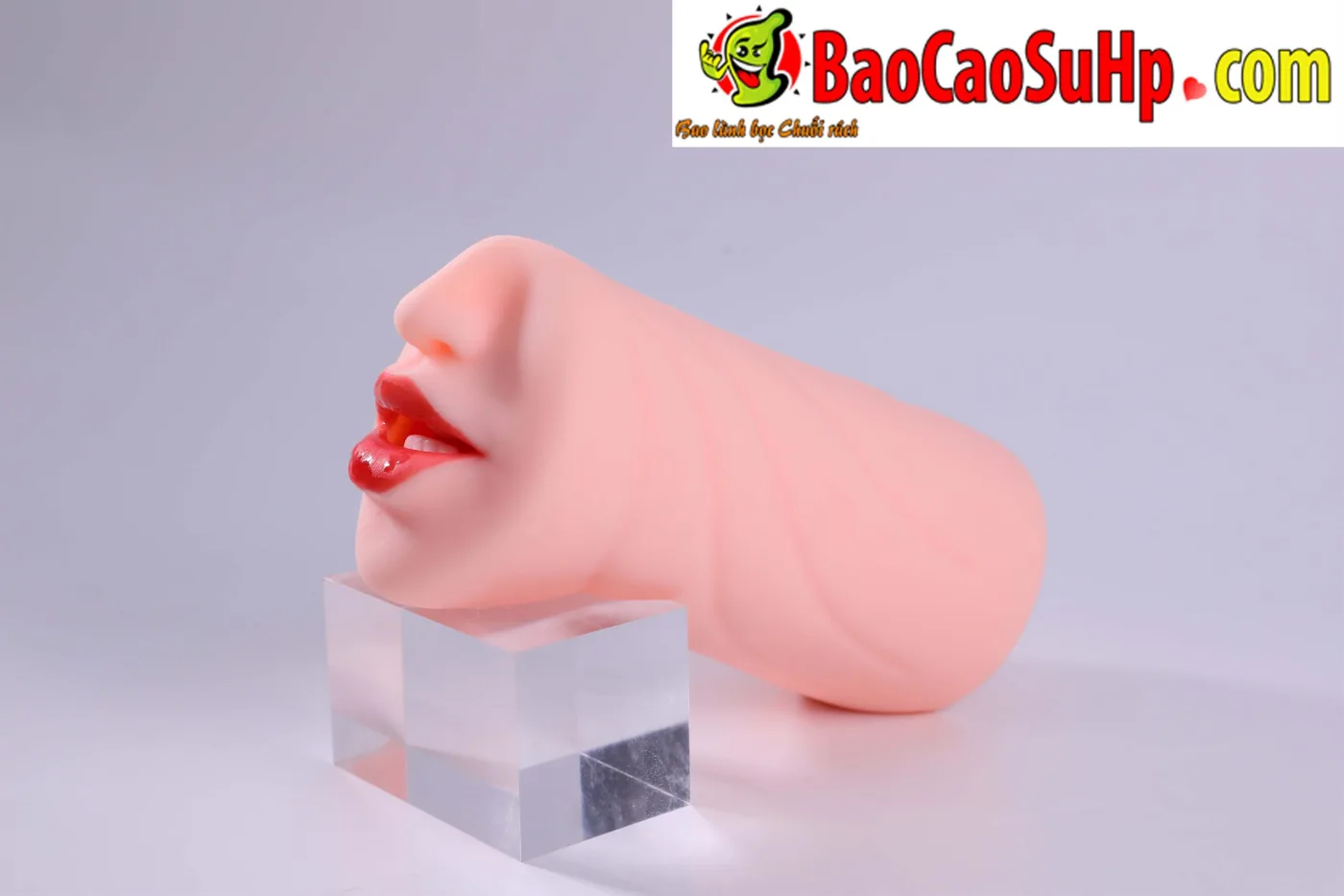 Miệng giả nguyên khối Hashimoto Arina liếm rung 800g TPE — Ảnh chụp tại hãng