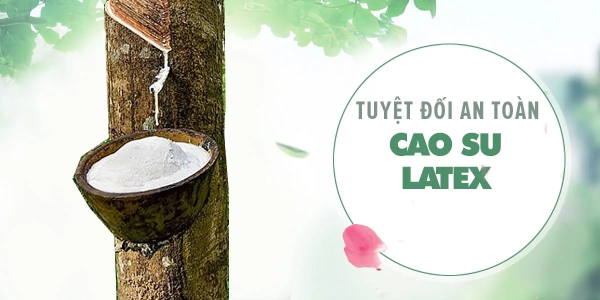 Bao cao su Quinn Pleasure Max gân điểm nổi tăng khoái cảm — Thông số kỹ thuật nổi bật