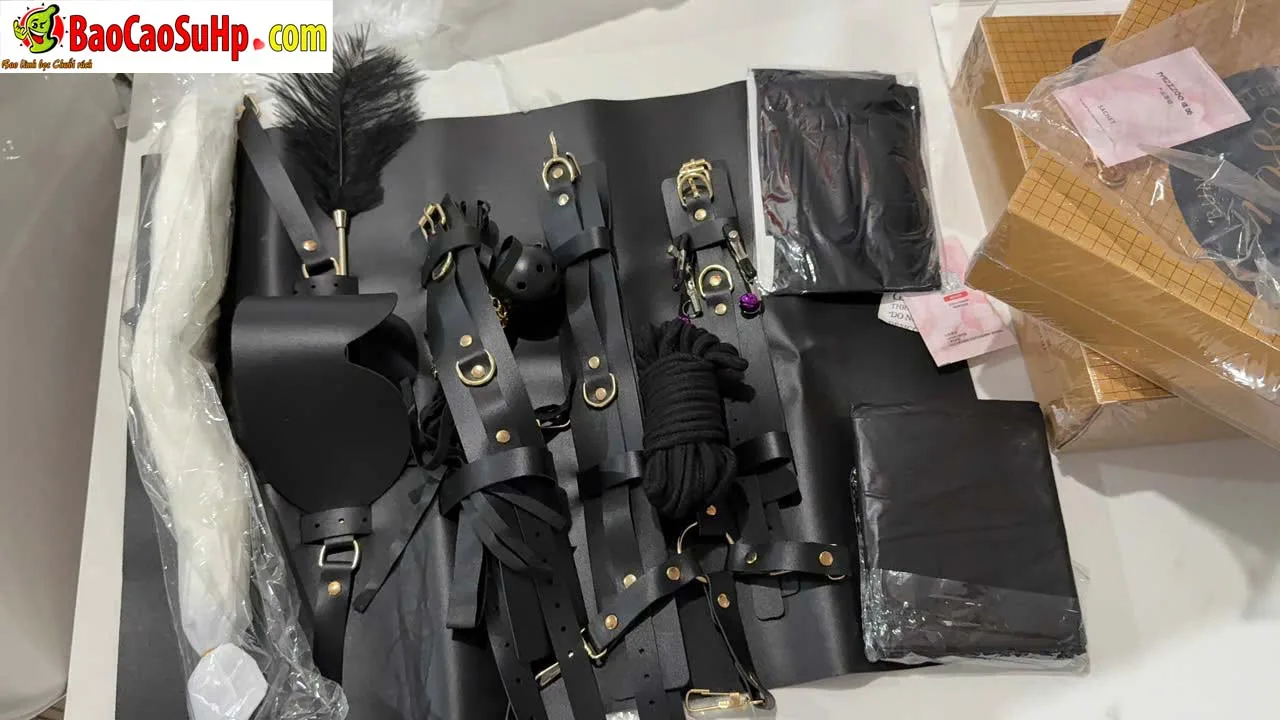 Giới Thiệu Bộ BDSM Mizzzee Asher 15 Món: Tuyệt Tác Khai Phá — hình 11