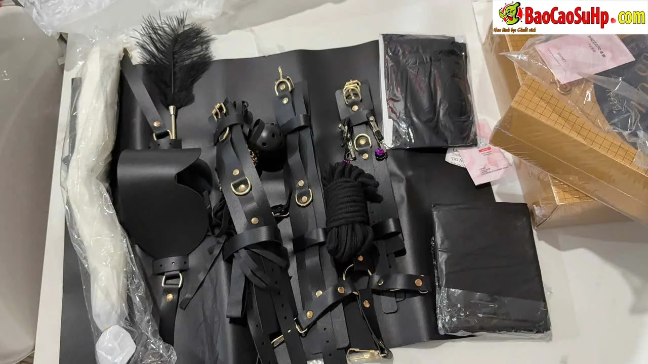 Giới Thiệu Bộ BDSM Mizzzee Asher 15 Món: Tuyệt Tác Khai Phá — hình 13