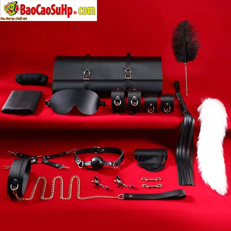 Giới Thiệu Bộ BDSM Mizzzee Asher 15 Món: Tuyệt Tác Khai Phá — hình 8