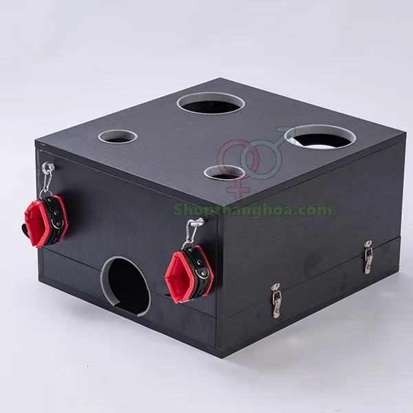 Đồ chơi bạo dâm hộp gỗ độc đáo kích thích cảm xúc mạnh — hình 8