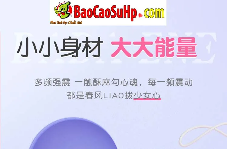 Ảnh 12