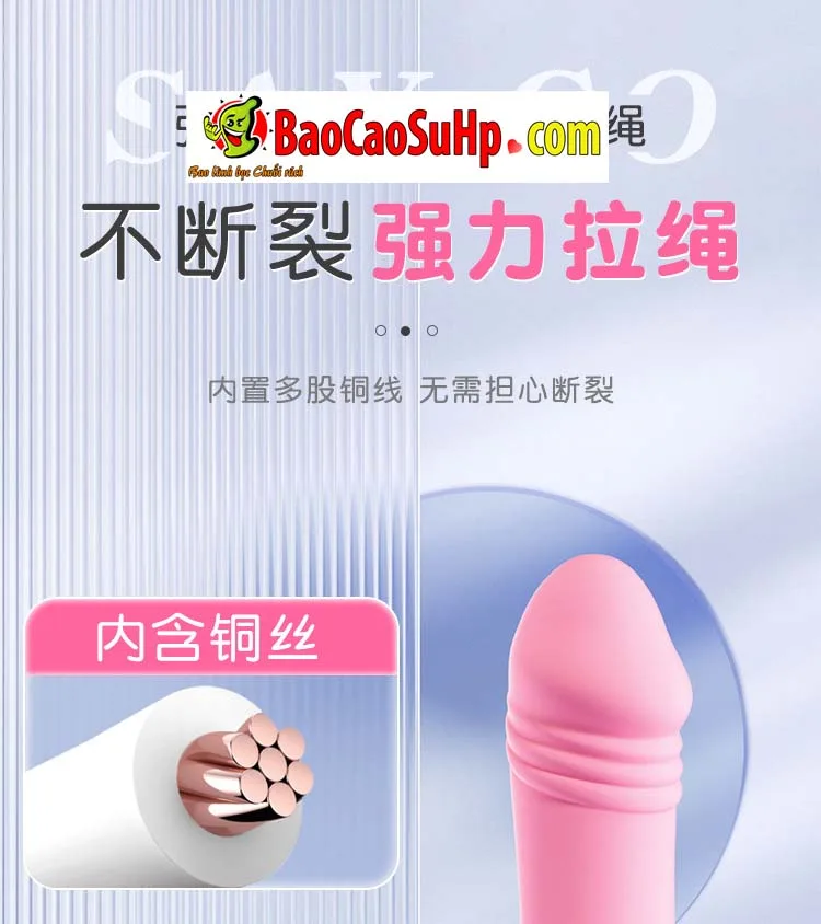 Ảnh 29