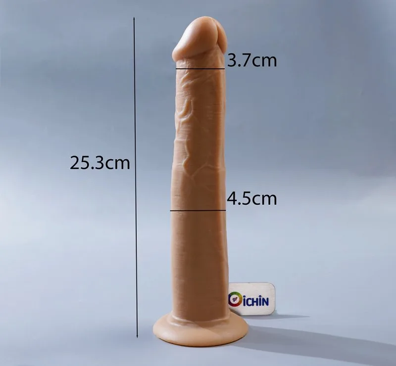 Kích thước cu giả rotator 10 inch