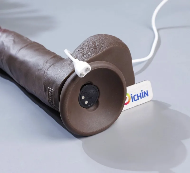 Chân sạc từ tính