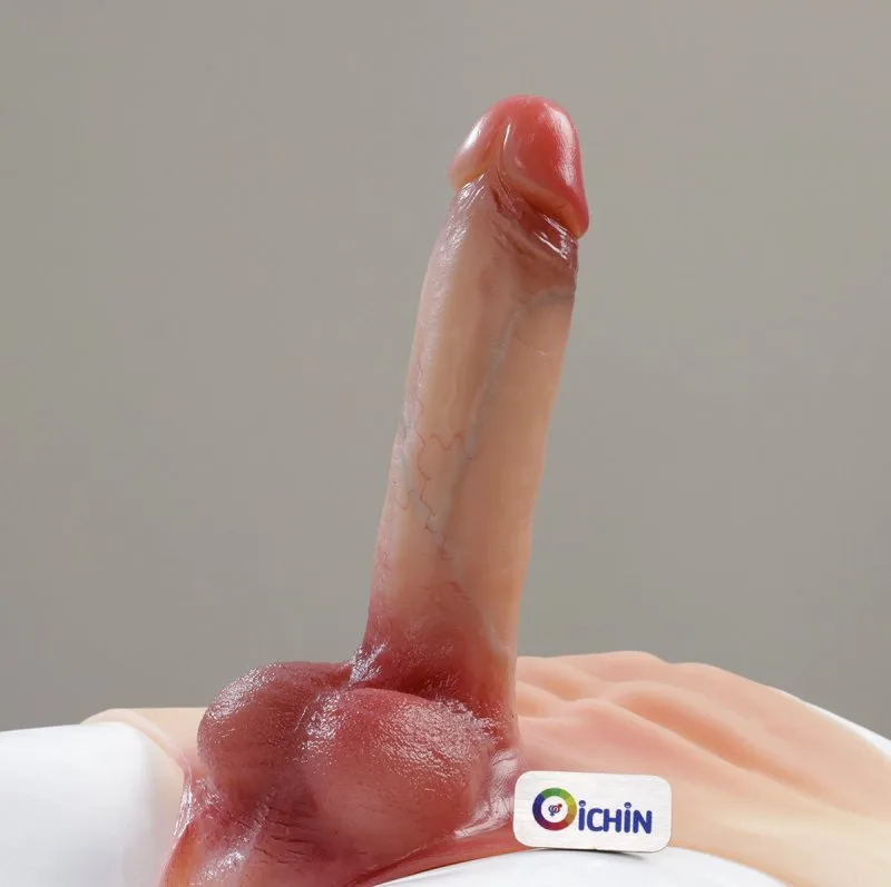 Phần đầu dương vật cương cứng