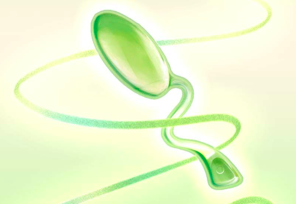 Trứng Rung vô hình MESANEL Green Bean điều khiển từ xa kích thích G-Spot
