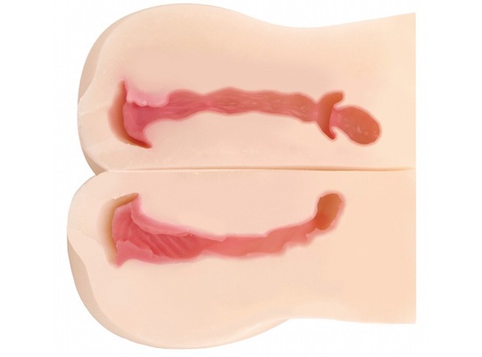 Mông giả đôi RENDS Squishy Sisters 4.3kg 3 lỗ cao cấp Nhật Bản