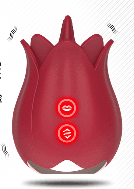 Dương Vật Giả 2 Đầu Rung Thụt Lưỡi Liếm Hình Hoa Hồng Silicon