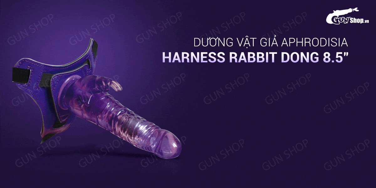  Bỏ sỉ Dương vật giả có dây đeo 10 chế độ rung dùng pin - Aphrodisia Harness Rabbit Dong 8.5 hàng mới về