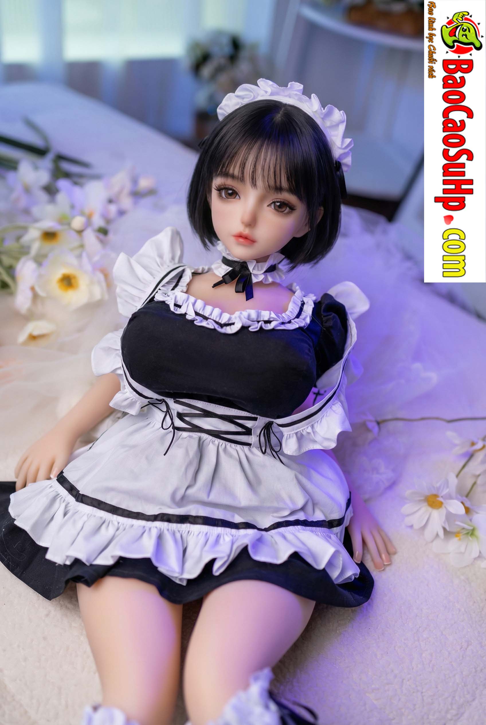 Minh hoạ 12