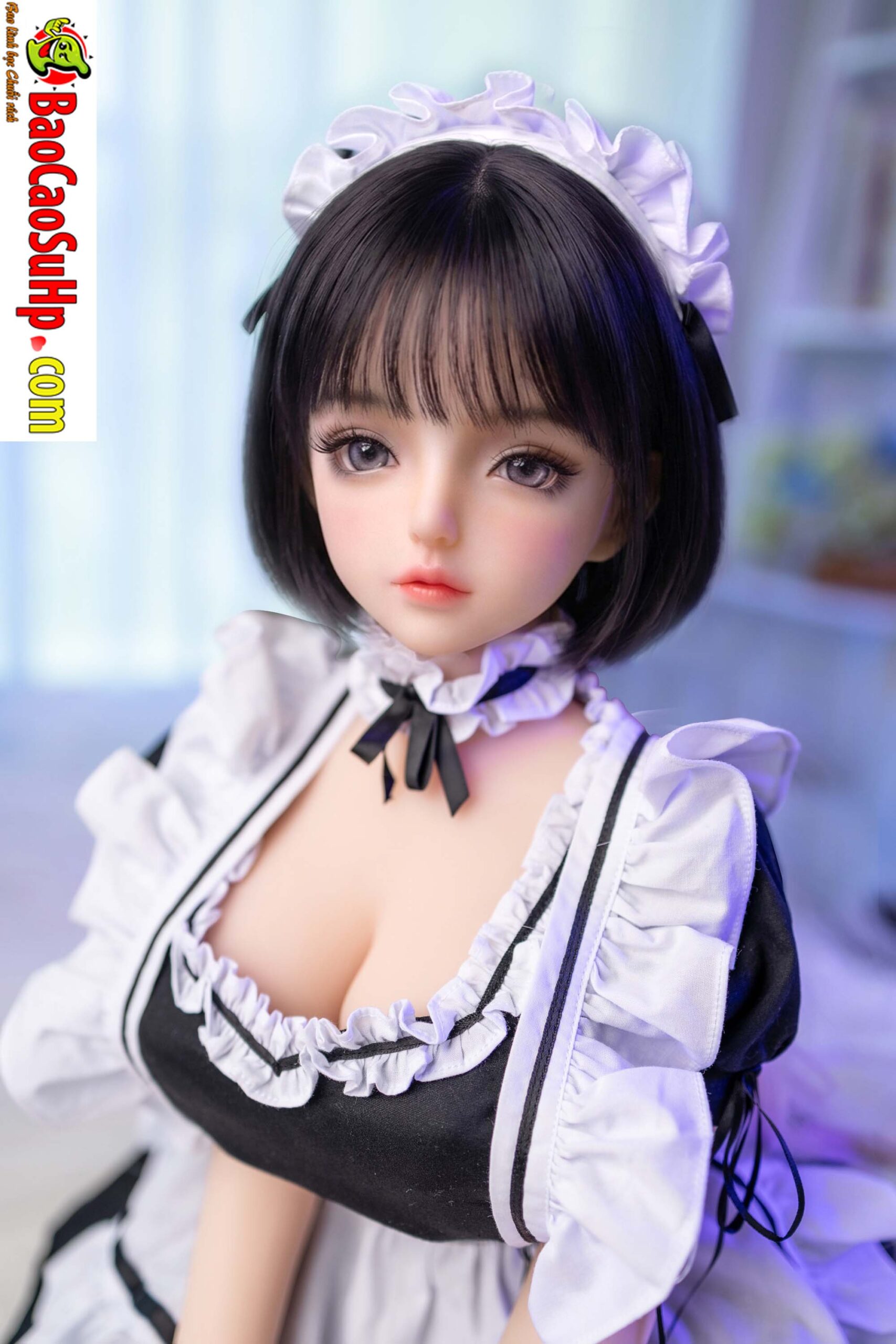 Minh hoạ 14