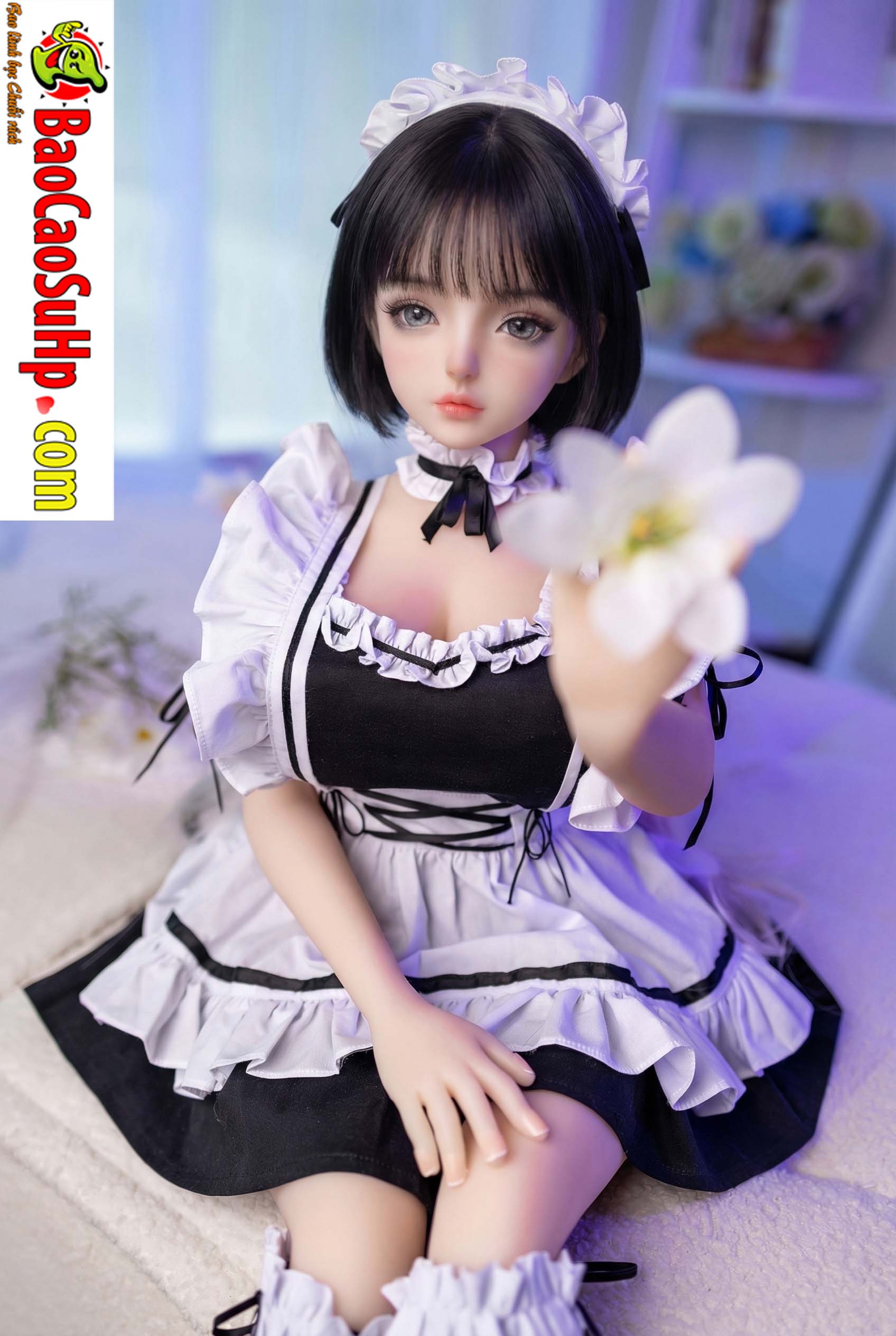 Minh hoạ 5