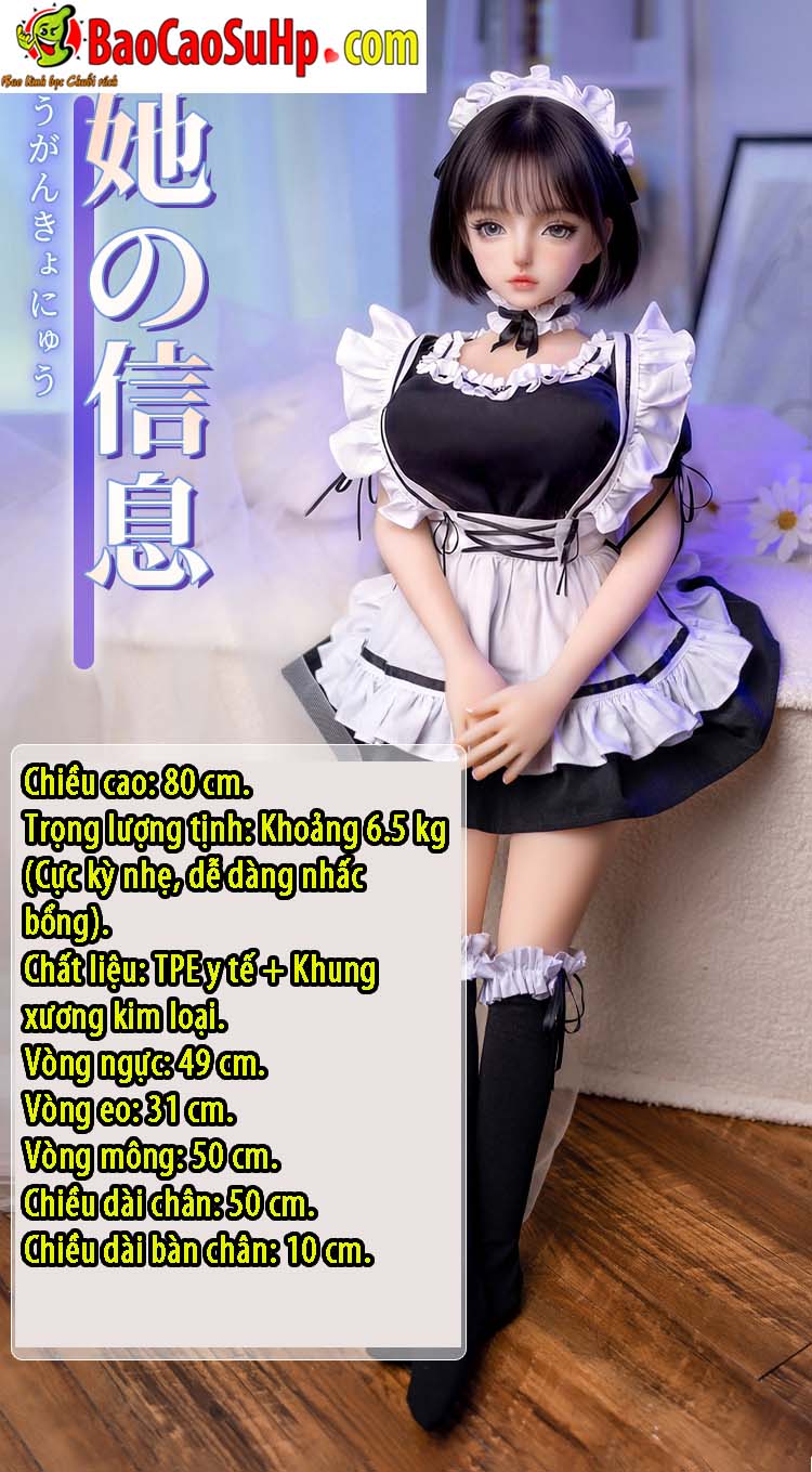 Intro Thông số