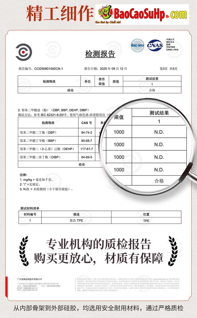 Ảnh 11