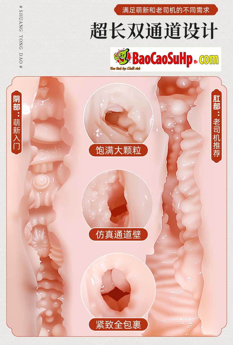 Ảnh 5