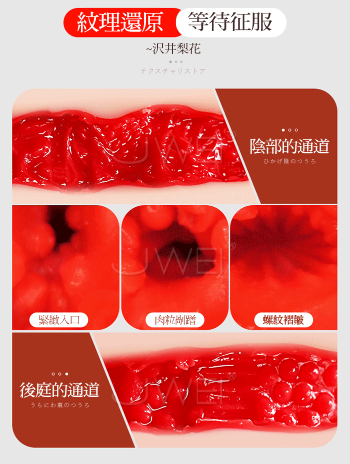 Búp Bê Tình Dục Bán Thân Jiuuy Yukino Oriko Gợi Cảm 4kg TPE