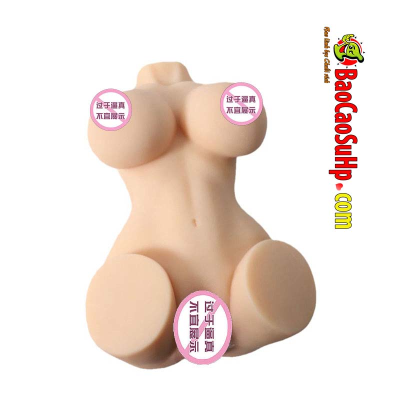 COC CW0009 Salina ảnh giới thiệu 7