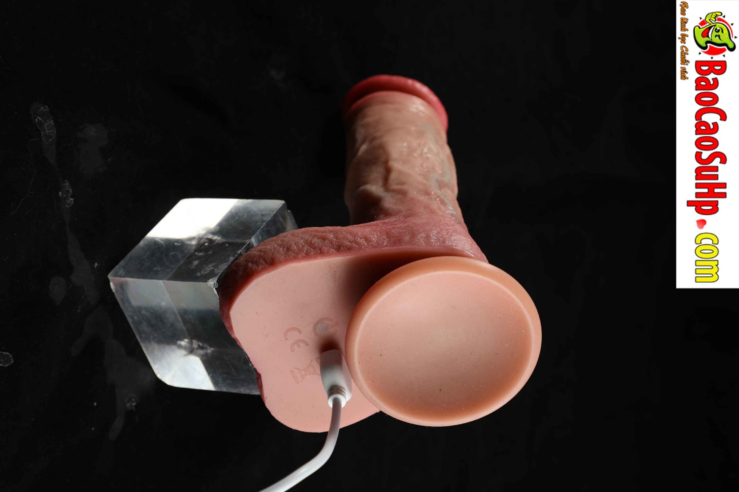 Dương vật giả đóng đất full silicone rung thụt phát nhiệt Mizzzee Benjamin 834A9869