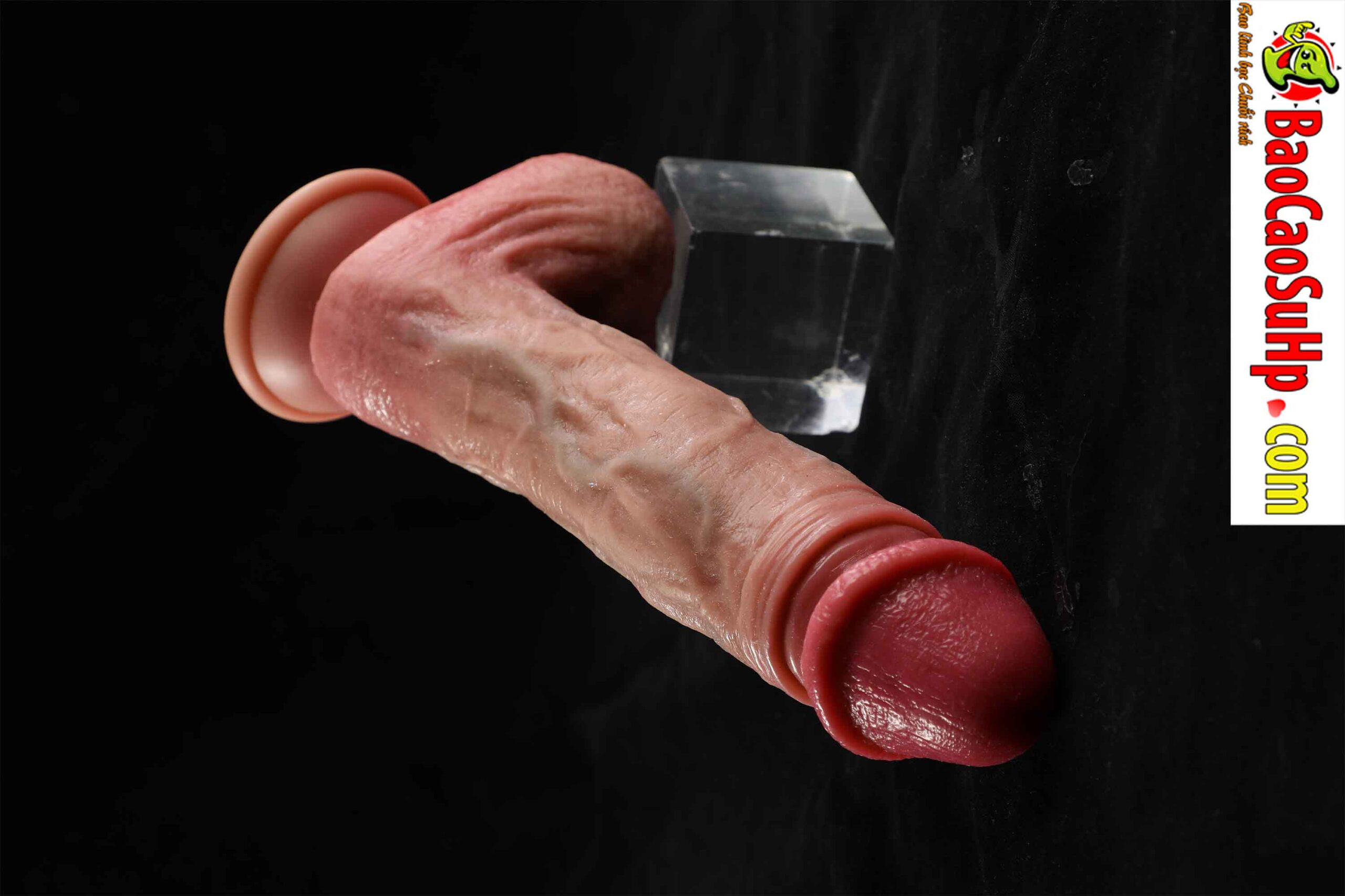 Dương vật giả đóng đất full silicone rung thụt phát nhiệt Mizzzee Benjamin 834A9875