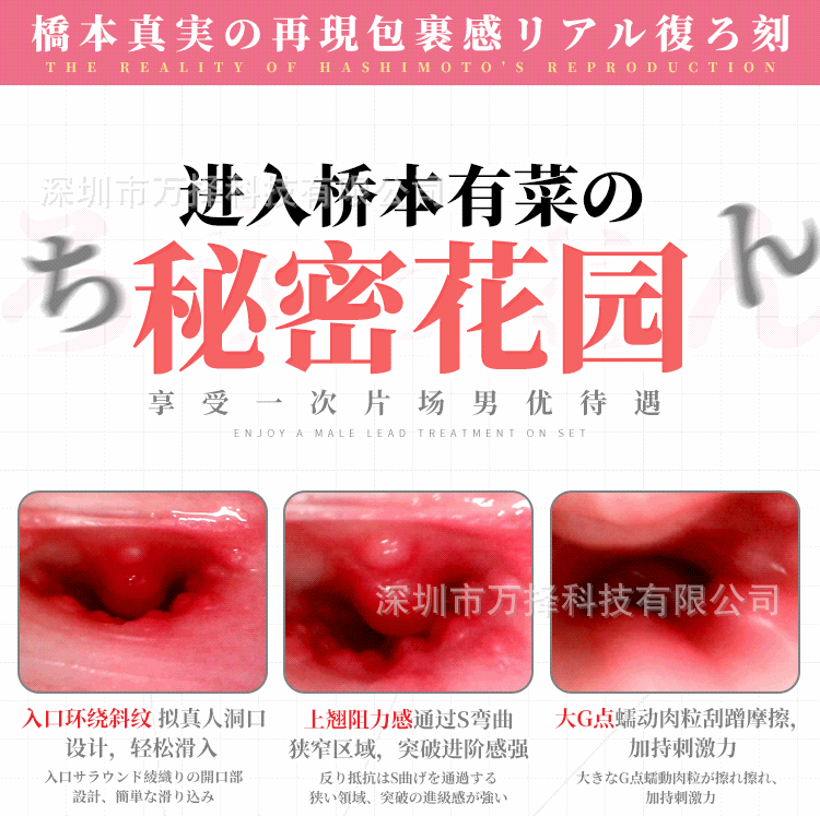Âm đạo giả nguyên khối cầm tay COC Idol Japan Wonderland Hashimoto Arin Ver 3 có chữ kí 850g - Am dao gia nguyen khoi cam tay COC Idol Japan Wonderland Hashimoto Arin Ver 3 12