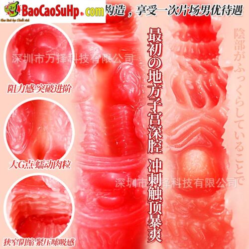 Âm đạo giả nguyên khối cầm tay COC Idol Japan Wonderland Hashimoto Arin Ver 3 có chữ kí 850g